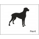 Pískovaný půllitr se jménem a obrázkem motiv psi