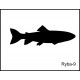Pískovaný půllitr se jménem a obrázkem motiv ryby