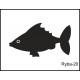 Pískovaný půllitr se jménem a obrázkem motiv ryby